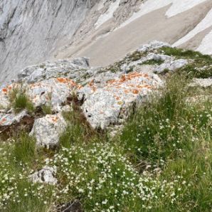 badersee-blog-alpspitze-mattheisenkar_29