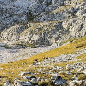 badersee-blog_zugspitze-stopselzieher-gatterl_51