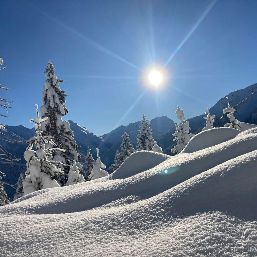 Hotel am Badersee - Winter Special Offers - 7=6: The Ultimate Snow Fun